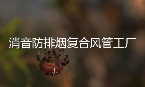 消音防排煙復合風管工廠