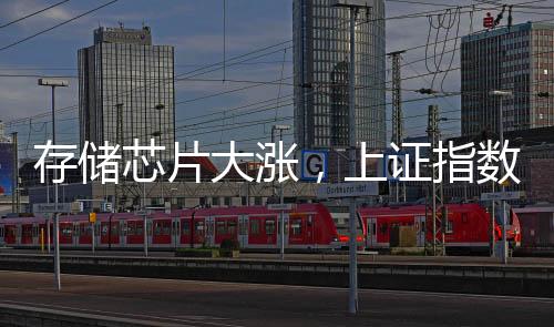 存儲芯片大漲，上證指數“金針探底”，高手怎么看？
