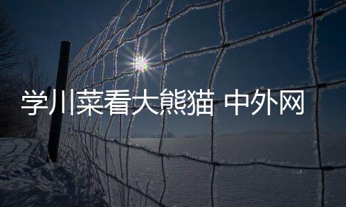 學川菜看大熊貓 中外網球運動員愛上成都安逸慢生活