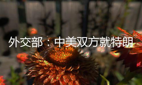 外交部：中美雙方就特朗普總統訪華事保持著溝通