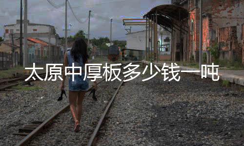 海強(qiáng)金諾國際輕鋼板材