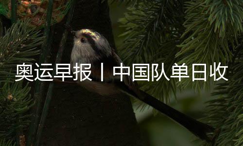 奧運早報丨中國隊單日收1金1銀1銅 14歲小將創歷史