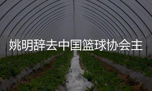 姚明辭去中國籃球協會主席職務 郭振明接任