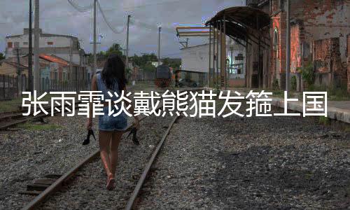 張雨霏談戴熊貓發箍上國際賽場：展現中國元素和傳統文化