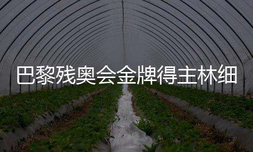 巴黎殘奧會金牌得主林細妹、麥建朋談奪冠感想 盼未來再創佳績