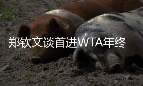 鄭欽文談首進WTA年終總決賽：先把身體與精神恢復到最佳狀態