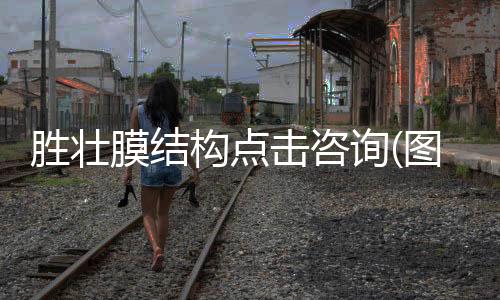 國產替代美國蘇威PARA1521玻纖增強高強度抗蠕變阻燃級