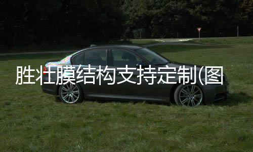 PARA103260GF玻纖增強高剛性抗蠕變汽車行業(yè)