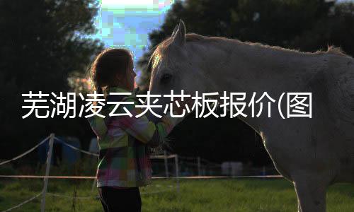 新鄉(xiāng)尼龍襯板生產廠家