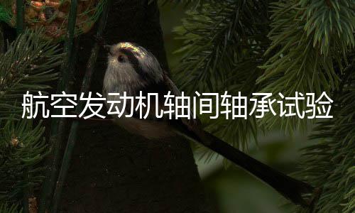 航空發動機軸間軸承試驗機