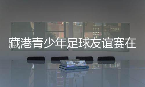 藏港青少年足球友誼賽在西藏林芝市舉行 共慶自治區(qū)成立60周年