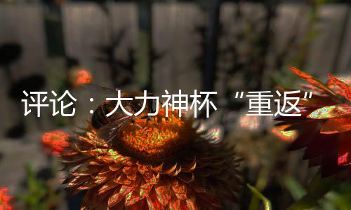 評論：大力神杯“重返”中國，中國男足何時重返世界杯？