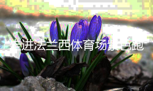 走進(jìn)法蘭西體育場紫色跑道，千分秒之差何以呈現(xiàn)？