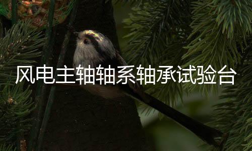 風(fēng)電主軸軸系軸承試驗(yàn)臺(tái)架