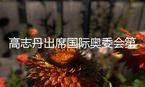 高志丹出席國際奧委會第13次奧林匹克峰會并會見國際奧委會主席巴赫