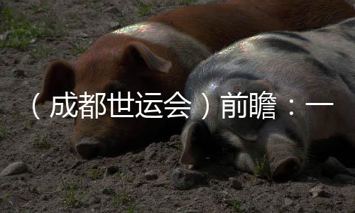 （成都世運(yùn)會(huì)）前瞻：一場體育與科技“雙向奔赴”的盛會(huì)