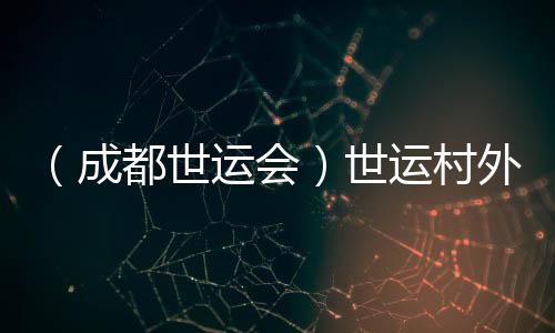 （成都世運(yùn)會(huì)）世運(yùn)村外的市集：讓世界感知“四川心意”