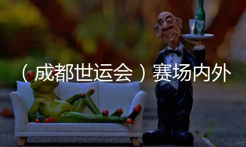 （成都世運會）賽場內外氣象萬千——盤點成都世運會“名場面”