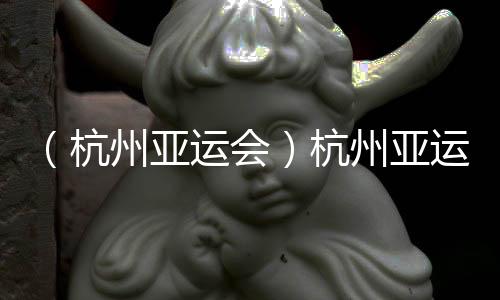 （杭州亞運會）杭州亞運會迎來代表團單日入境最高峰