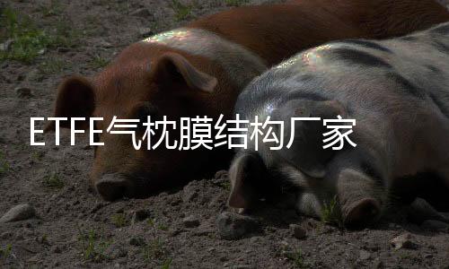 PESU3000P粗粉涂料高粘度聚醚砜食品接觸薄膜可噴涂、耐高溫