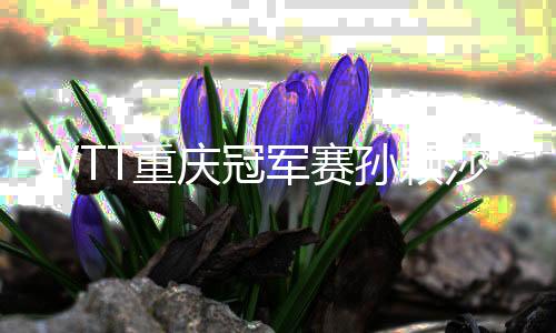 WTT重慶冠軍賽孫穎莎、樊振東奪冠，國乒將封閉備戰奧運