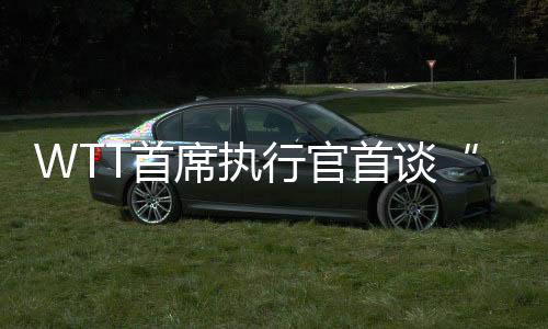 WTT首席執行官首談“劉國梁卸任”與“運動員健康”