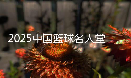 2025中國籃球名人堂提名名單公布 北京奧運中國男籃在列