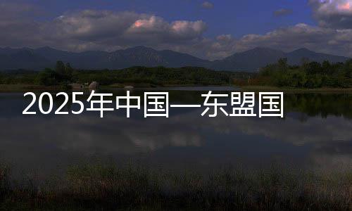 2025年中國—東盟國際龍舟公開賽在廣西藤縣舉行