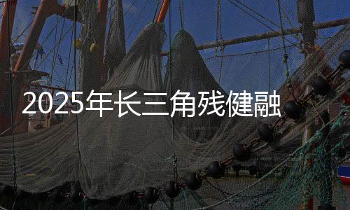 2025年長三角殘健融合運動會——融合定向賽在滬開賽