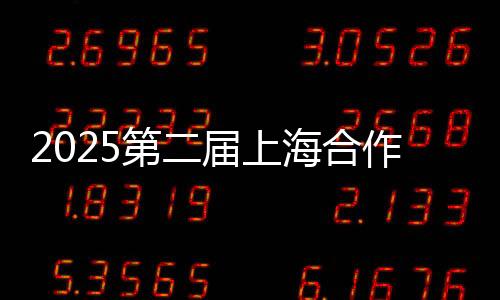 2025第二屆上海合作組織雪地足球賽在哈爾濱開賽