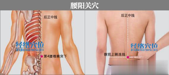 腰陽(yáng)關(guān)穴的準(zhǔn)確位置圖