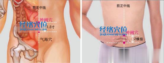 神闕穴的準(zhǔn)確位置圖