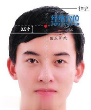 神庭穴的準確位置圖