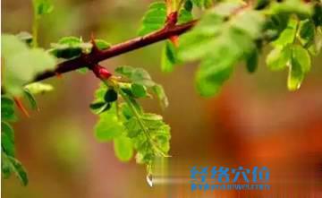 艾灸有沒有季節(jié)要求