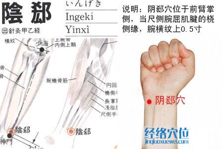 陰郄穴位位置圖