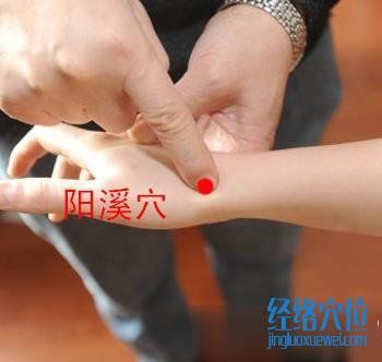 陽溪穴位位置圖
