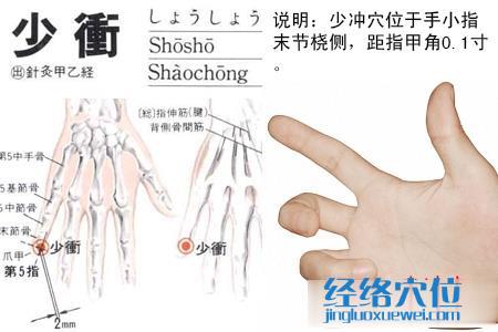 少沖穴位位置圖