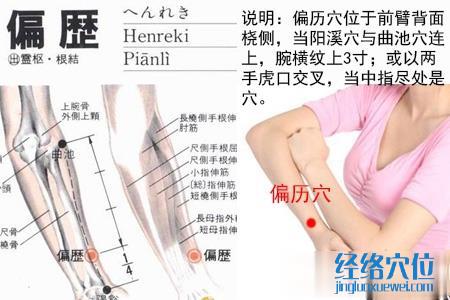 偏歷穴位位置圖