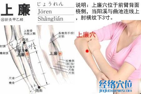 上廉穴位位置圖