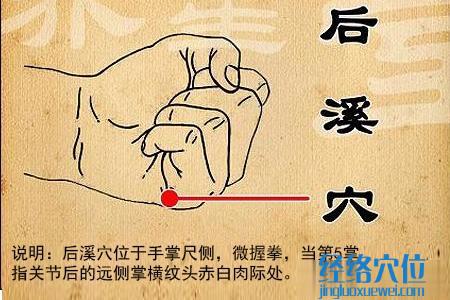 后溪穴位位置圖