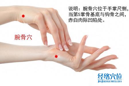 腕骨穴位位置圖
