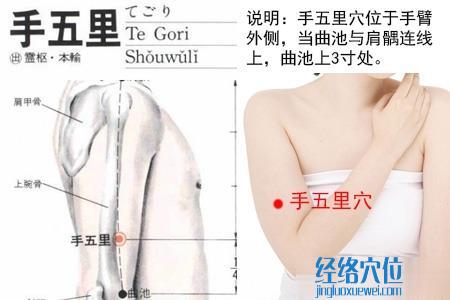 手五里穴位位置圖