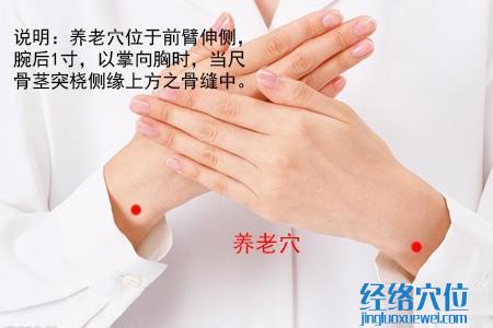 養(yǎng)老穴位位置圖