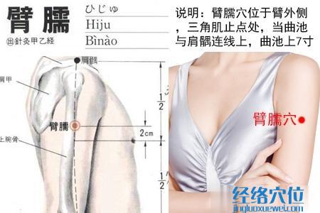 臂臑穴位位置圖