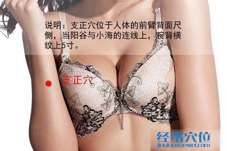 支正穴位位置圖