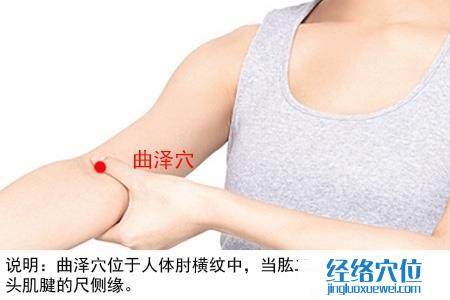 曲澤穴位位置圖