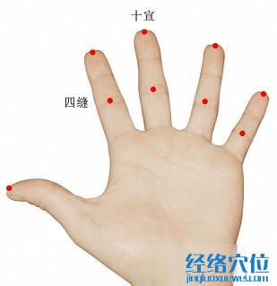 十宣穴位位置圖