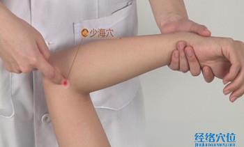 少海穴的準(zhǔn)確位置圖