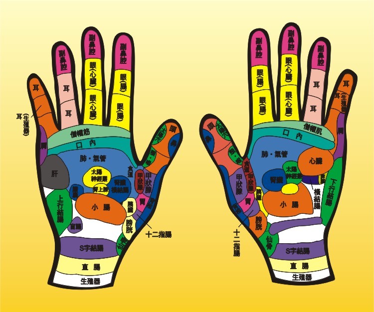 人體手部反射區(qū)高清圖