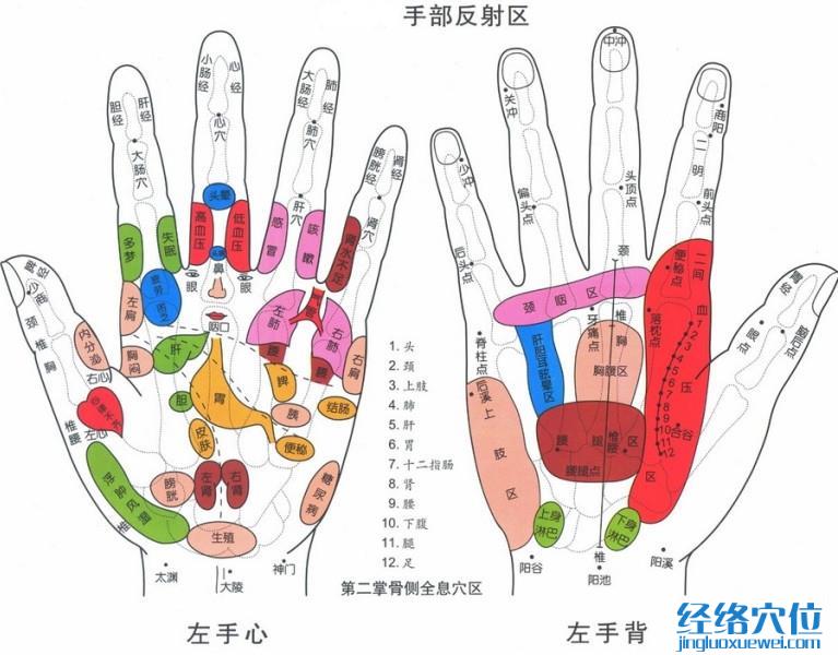 手部穴位圖(高清示意圖詳解)